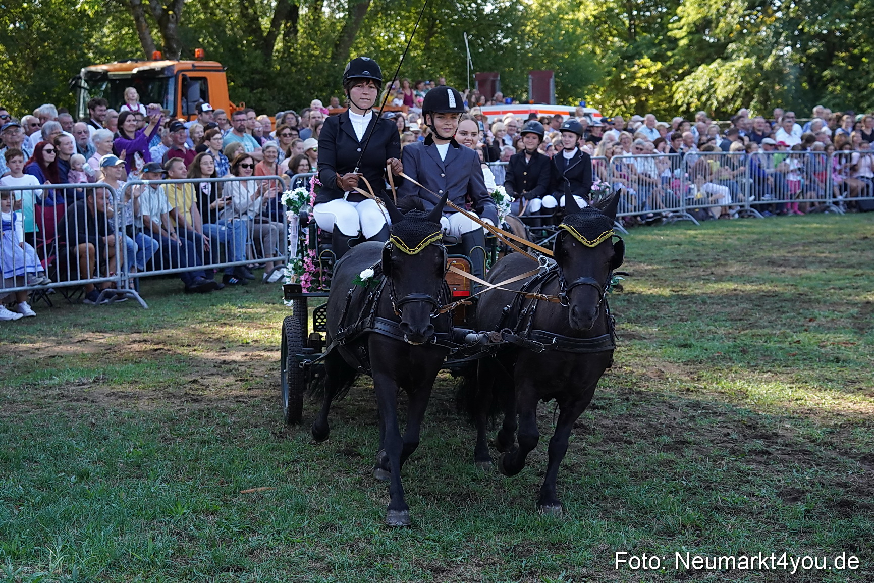 Pferde und Fohlenschau 2022 0089 